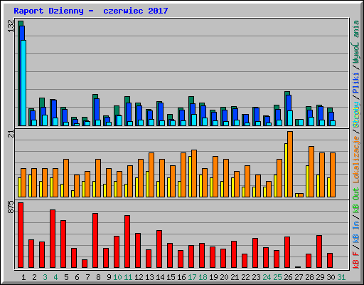 Raport Dzienny -  czerwiec 2017