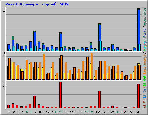 Raport Dzienny -  styczeń 2019