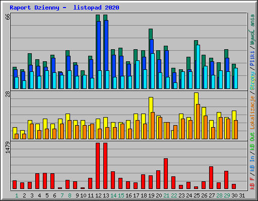 Raport Dzienny -  listopad 2020