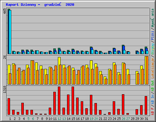 Raport Dzienny -  grudzień 2020