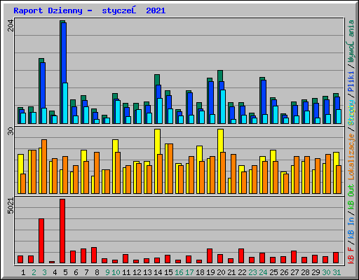 Raport Dzienny -  styczeń 2021