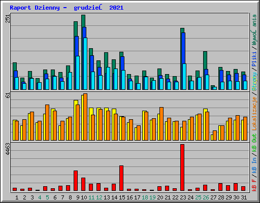 Raport Dzienny -  grudzień 2021