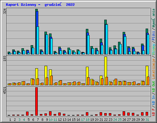 Raport Dzienny -  grudzień 2022