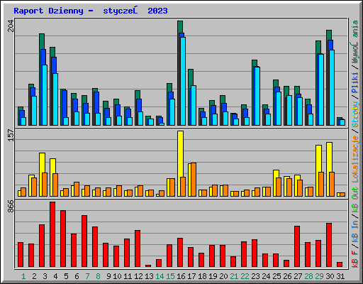 Raport Dzienny -  styczeń 2023