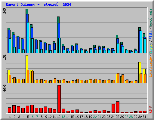 Raport Dzienny -  styczeń 2024