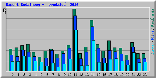 Raport Godzinowy -  grudzień 2016