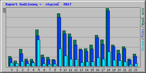 Raport Godzinowy -  styczeń 2017