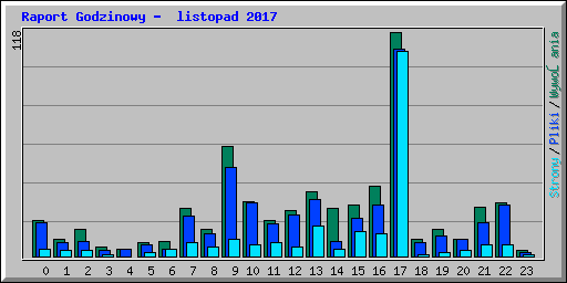 Raport Godzinowy -  listopad 2017