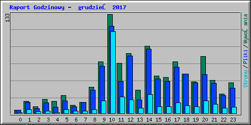 Raport Godzinowy -  grudzień 2017