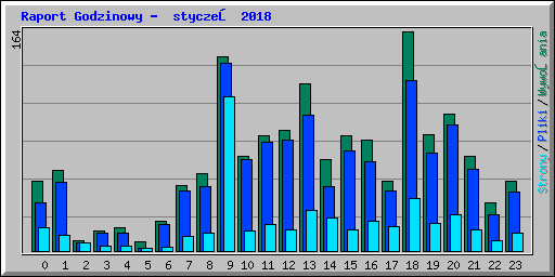 Raport Godzinowy -  styczeń 2018
