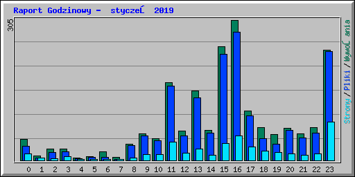 Raport Godzinowy -  styczeń 2019