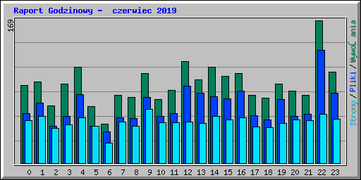 Raport Godzinowy -  czerwiec 2019