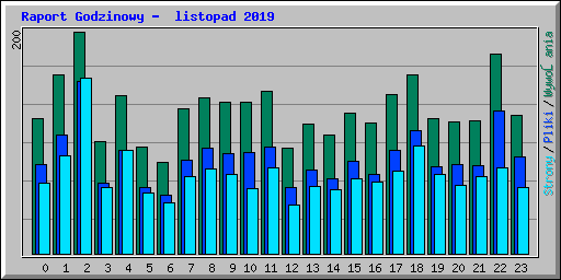 Raport Godzinowy -  listopad 2019