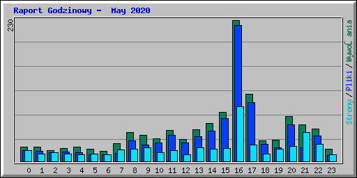 Raport Godzinowy -  May 2020