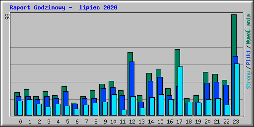 Raport Godzinowy -  lipiec 2020