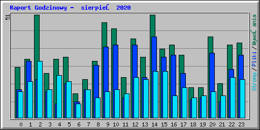 Raport Godzinowy -  sierpień 2020