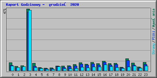 Raport Godzinowy -  grudzień 2020