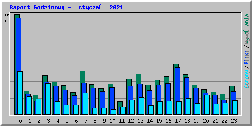 Raport Godzinowy -  styczeń 2021