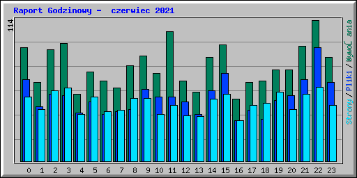 Raport Godzinowy -  czerwiec 2021