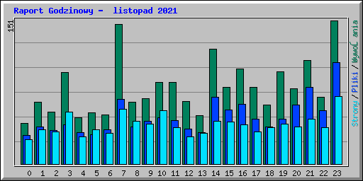 Raport Godzinowy -  listopad 2021