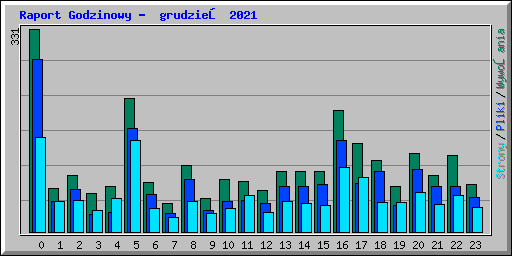 Raport Godzinowy -  grudzień 2021