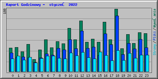 Raport Godzinowy -  styczeń 2022