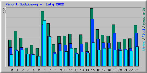 Raport Godzinowy -  luty 2022