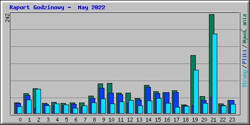 Raport Godzinowy -  May 2022