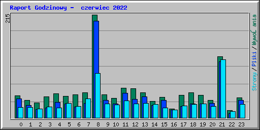 Raport Godzinowy -  czerwiec 2022