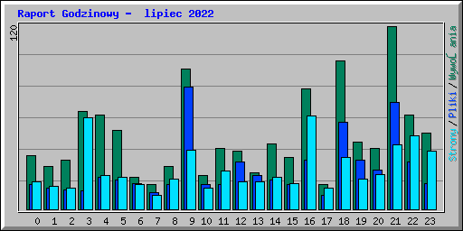 Raport Godzinowy -  lipiec 2022