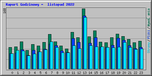 Raport Godzinowy -  listopad 2022