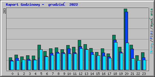 Raport Godzinowy -  grudzień 2022