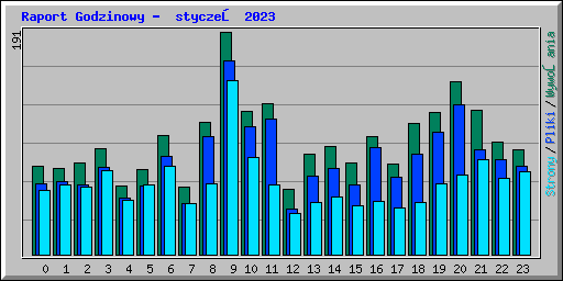 Raport Godzinowy -  styczeń 2023