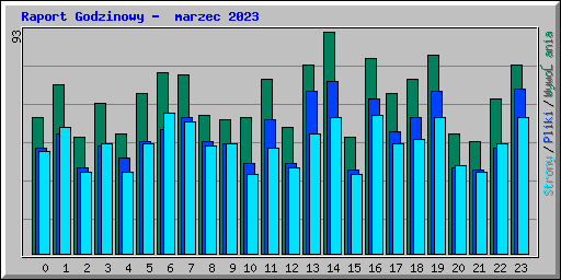 Raport Godzinowy -  marzec 2023