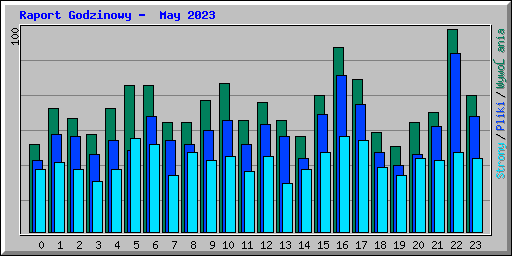 Raport Godzinowy -  May 2023