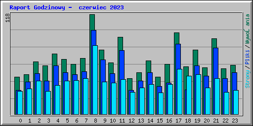 Raport Godzinowy -  czerwiec 2023