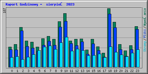 Raport Godzinowy -  sierpień 2023