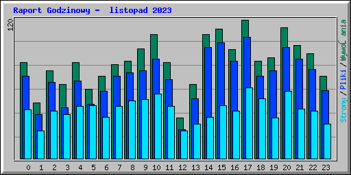 Raport Godzinowy -  listopad 2023