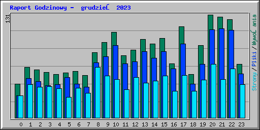 Raport Godzinowy -  grudzień 2023