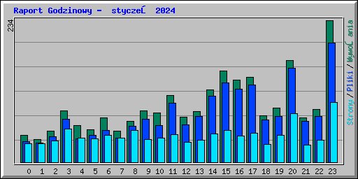 Raport Godzinowy -  styczeń 2024