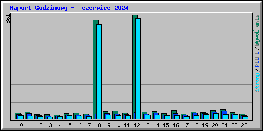 Raport Godzinowy -  czerwiec 2024
