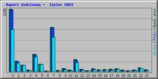 Raport Godzinowy -  lipiec 2024