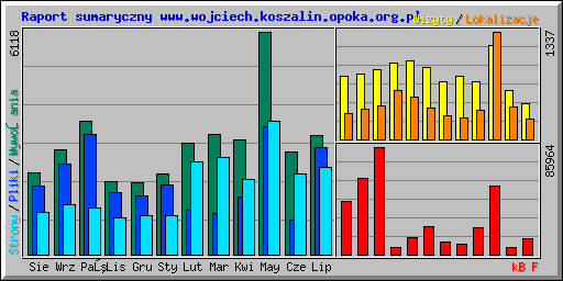 Raport sumaryczny www.wojciech.koszalin.opoka.org.pl